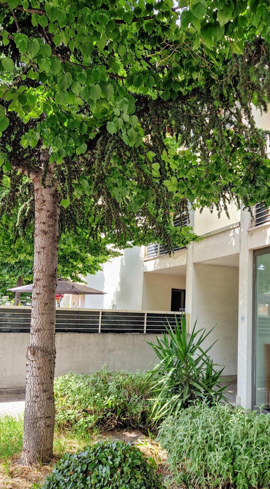 Dolcenido Meyer Firenze Διαμέρισμα Εξωτερικό φωτογραφία